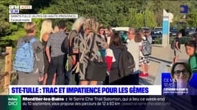 Alpes-de-Haute-Provence: trac et impatience au collège de Sainte-Tulle