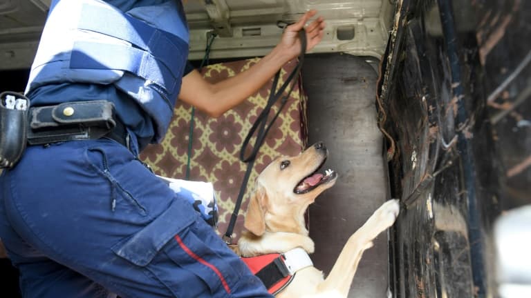 Un agent des douanes et un chien renifleur. (Illustration)