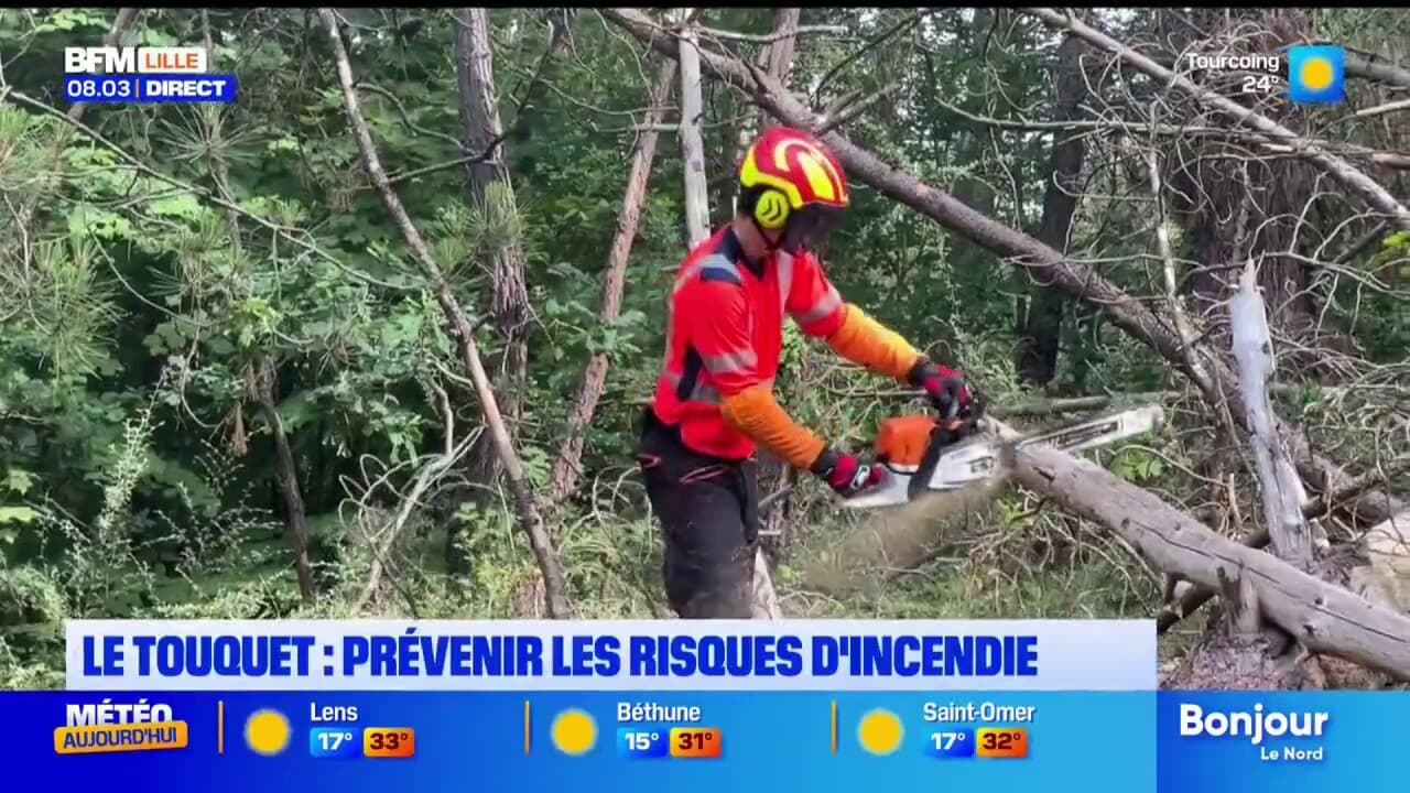 Les massifs forestiers sous surveillance dans la région
