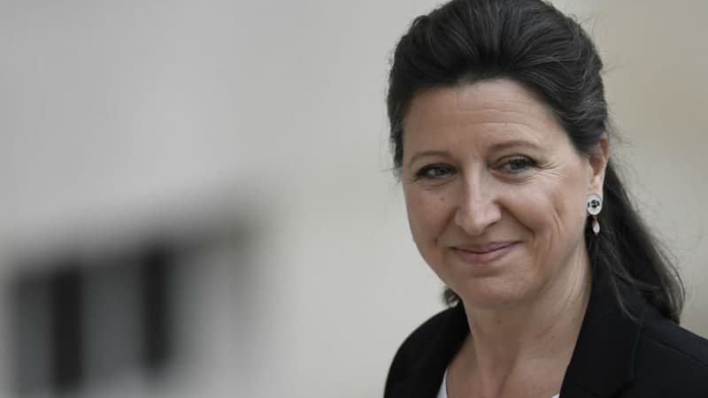 La ministre des Solidarités et de la Santé Agnès Buzyn.