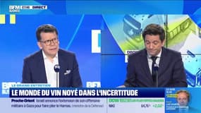 Nicolas Ozanam, délégué général de la FEVS, est l'invité de good morning business