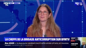 La cheffe de la brigade anticorruption, Sophie Robert, sur BFMTV - 06/06