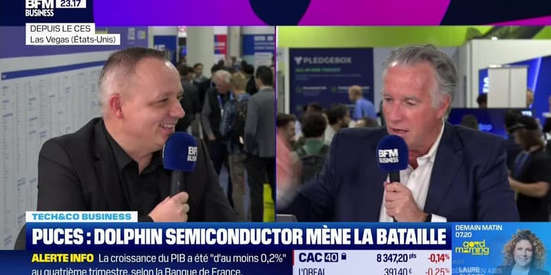 Puces : Dolphin Semiconductor mène la bataille - 13/01