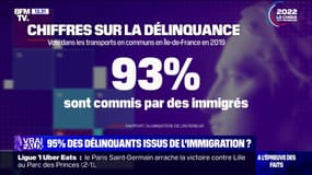 LA VÉRIF - 95% de la délinquance est-elle liée à l'immigration ?