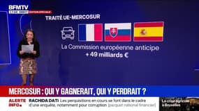 LES ÉCLAIREURS - Mercosur: qui y gagnerait? Qui y perdrait?
