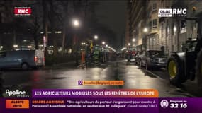 Les agriculteurs mobilisés sous les fenêtres de l'Europe