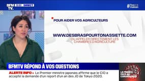 Comment fait-on pour aider les agriculteurs ? BFMTV répond à vos questions 