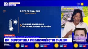 Ile-de-France: des conseils pour supporter la vie dans un îlot de chaleur