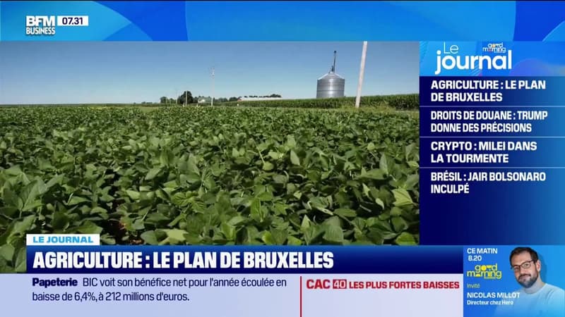 Agriculture: Bruxelles veut des mesures plus strictes pour les importations... au détriment des exportations?