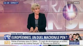 Européennes: "Emmanuel Macron a nationalisé le scrutin", affirme Nadine Morano
