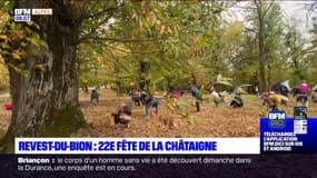 Alpes-de-Haute-Provence: la Fête de la châtaigne à Revest-Du-Bion