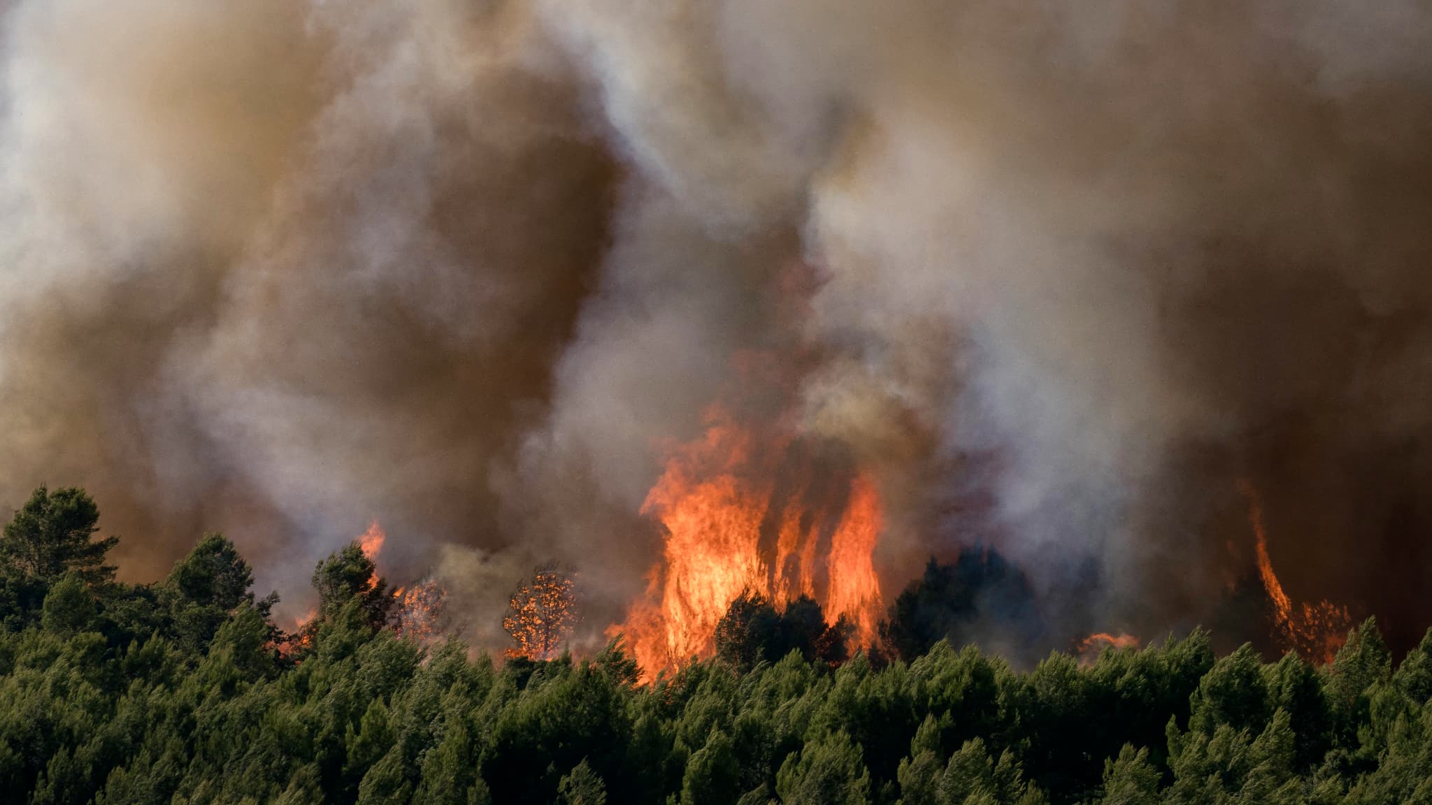 France Wildfire Season: Officials Warn of Extended Danger and High Risk