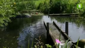 Label Flandre - Le jardin d'eau et de poésie