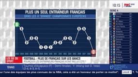 Football - Pourquoi les entraîneurs français n'ont pas la cote ?