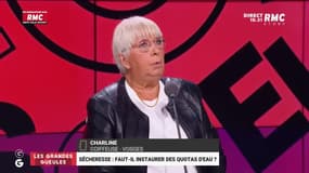 Sécheresse: faut-il instaurer des quotas d'eau ? - 08/08