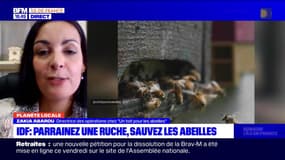 Planète Locale du lundi 17 avril 2023 - IDF : parrainez une ruche, sauvez les abeilles