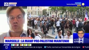 Rassemblement pro-palestinien à Marseille: le député LFI Hendrik Davi aurait voulu que la manifestation soit autorisée