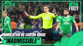 "C'est inadmissible, les joueurs ne connaissent pas les règles", assure Diaz
