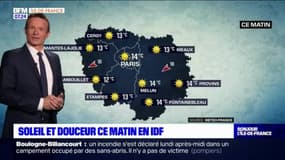 Météo Paris-Île-de-France du 14 juin: Soleil et douceur ce matin