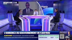 L'annonce du gouvernement de Bayrou