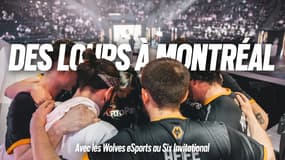 Le Six Invitational réunissait les meilleurs joueurs de Rainbow Six Siege