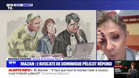 "Mes confrères sont dans leur rôle": Béatrice Zavarro, avocate de Dominique Pélicot, prend la défense de ses confrères avocats de la défense