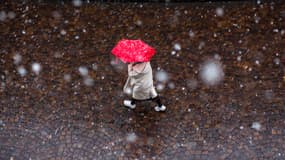 Des flocons de neige à Paris, le 21 novembre 2024 (photo d'illustration)
