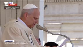Homélie du pape: Léon XIV appelle à "une Église unie" pour "un monde réconcilié"