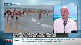 Réchauffement des mers et des océans: "Si les coraux meurent, toute la chaîne alimentaire est affectée"