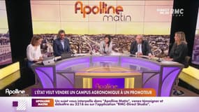 Si vous souhaitez rencontrer quelqu'un, promenez-vous donc avec un livre