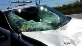 L'impact du cerf sur la voiture d'Heidi Conner