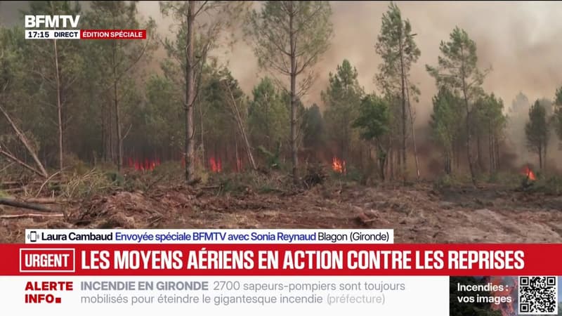 Incendies en Gironde: d'importantes reprises de feu à Blagon