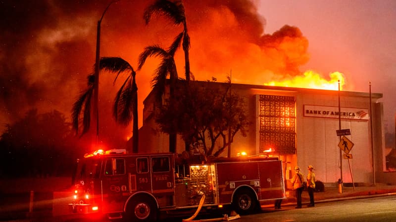 Sécheresse, rafales de vent... Comment expliquer la violence des incendies à Los Angeles en plein hiver