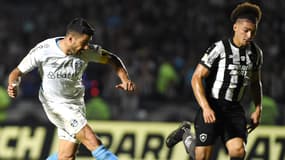 Luis Suarez lors de Botafogo-Grêmio, à Rio de Janeiro le 9 novembre 2023