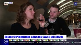 Paris Découverte: Secrets de l’œnologie dans les caves du Louvre - 23/02