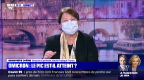 Geneviève Chêne, directrice de Santé Publique France: "1 Français testé sur 5 est positif" au Covid-19