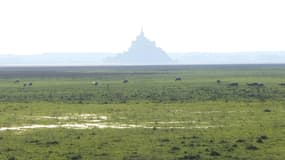 Un berger est contraint de détruire sa bergerie située près du Mont-Saint-Michel.