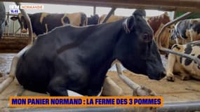 Mon panier normand : La ferme des 3 pommes