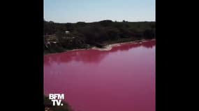  Au Paraguay, un lac devient rose à cause de la pollution 