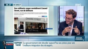 Vous en parlerez : des attaques vegan en plein cœur de Lille