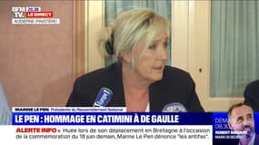 Marine Le Pen: "Les antifas ont gâché la manifestation des soignants, des gilets jaunes et du 1er-Mai"