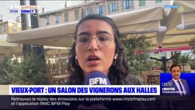 Marseille: les halles accueillent le salon des vignerons