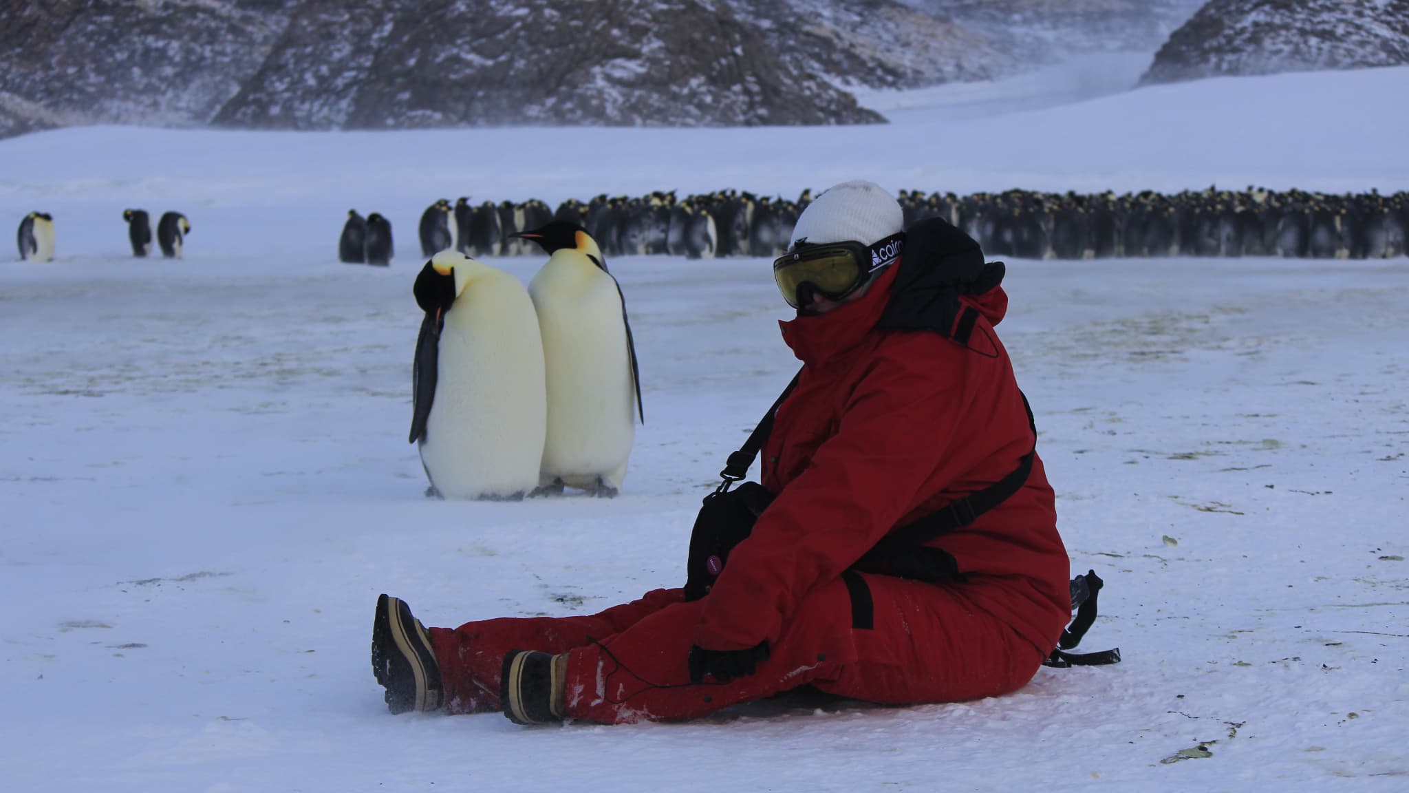 La chimiste Charlène Garau en compagnie de manchots empereur en Antarctique, en 2020 La chimiste Charlène Garau en compagnie de manchots empereur en Antarctique, en 2020