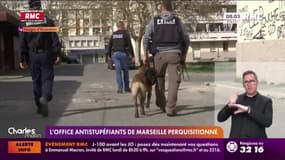 L'Office Antistupéfiants de Marseille perquisitionné