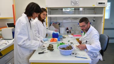 Des scientifiques (photo d'illustration)