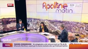 Racontez-nous - "Le chat", chef du gang marseillais Yoda, arrêté