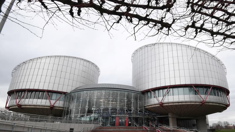 La Cour Européenne de Droits de l'Homme à Strasbourg, le 7 février 2019