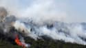 Le feu a détruit 7.000 hectares de végétation. Les dégâts, comme ici autour de Bormes-les-Mimosas dans le Var, sont considérables 