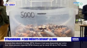 Strasbourg: 4000 mégots ramassés sur le parvis de la BNU