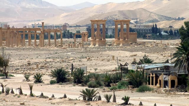 Le site archéologique de Palmyre fait l'objet de toutes les attentions alors que l'Etat islamique tente de s'emparer de la ville